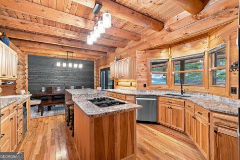 505 Old Salem Road Mineral Bluff GA 30559