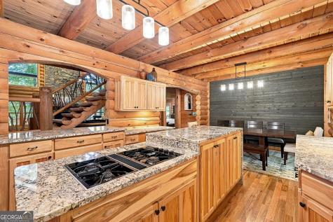 505 Old Salem Road Mineral Bluff GA 30559