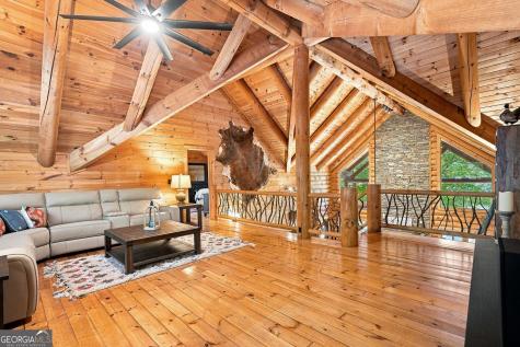 505 Old Salem Road Mineral Bluff GA 30559
