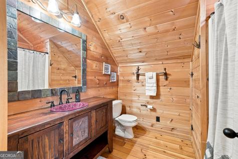 505 Old Salem Road Mineral Bluff GA 30559