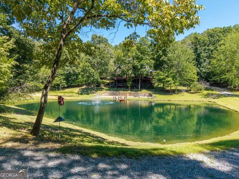 505 Old Salem Road Mineral Bluff GA 30559
