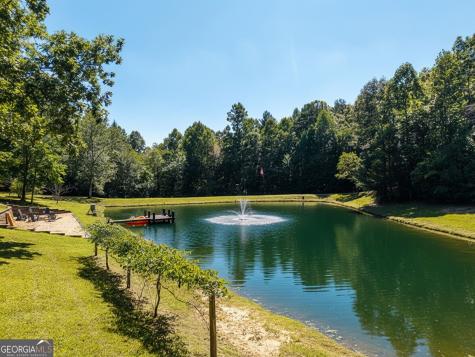 505 Old Salem Road Mineral Bluff GA 30559