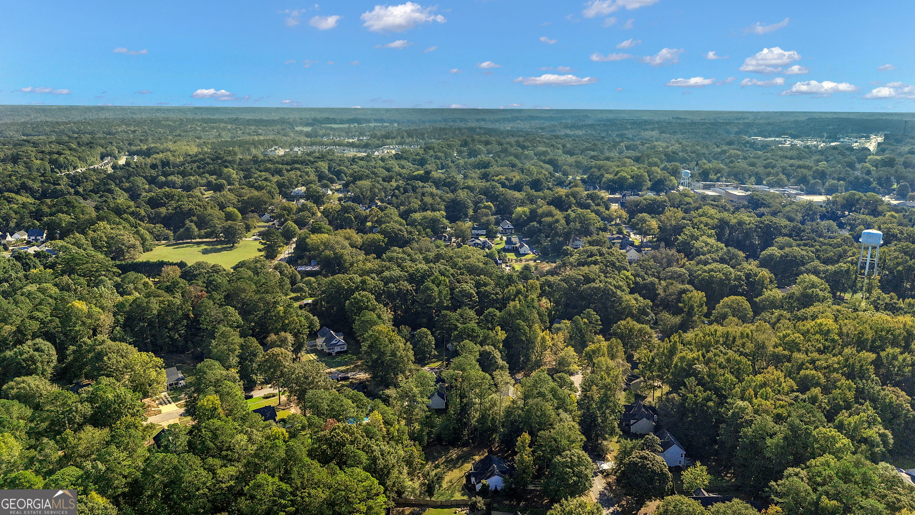 692 Willow Dell Drive Senoia GA 30276