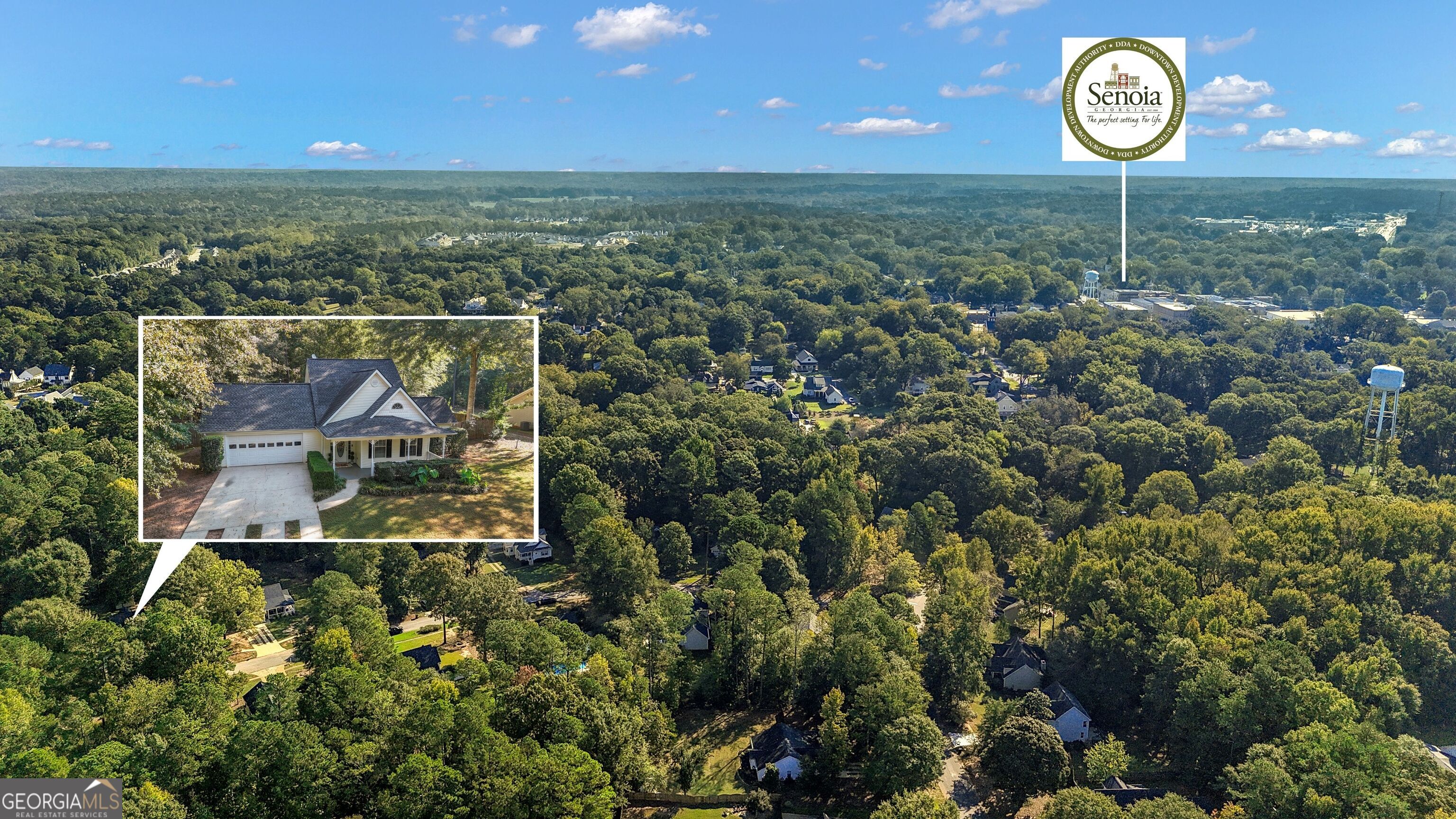 692 Willow Dell Drive Senoia GA 30276