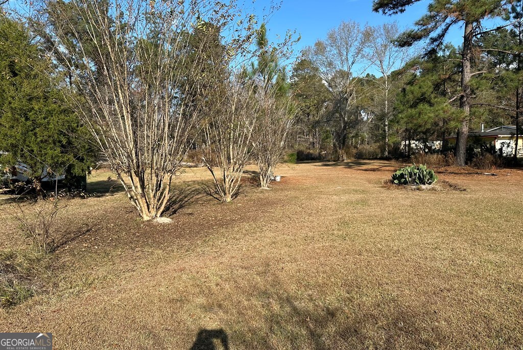 686 Victory Circle Lyons GA 30436