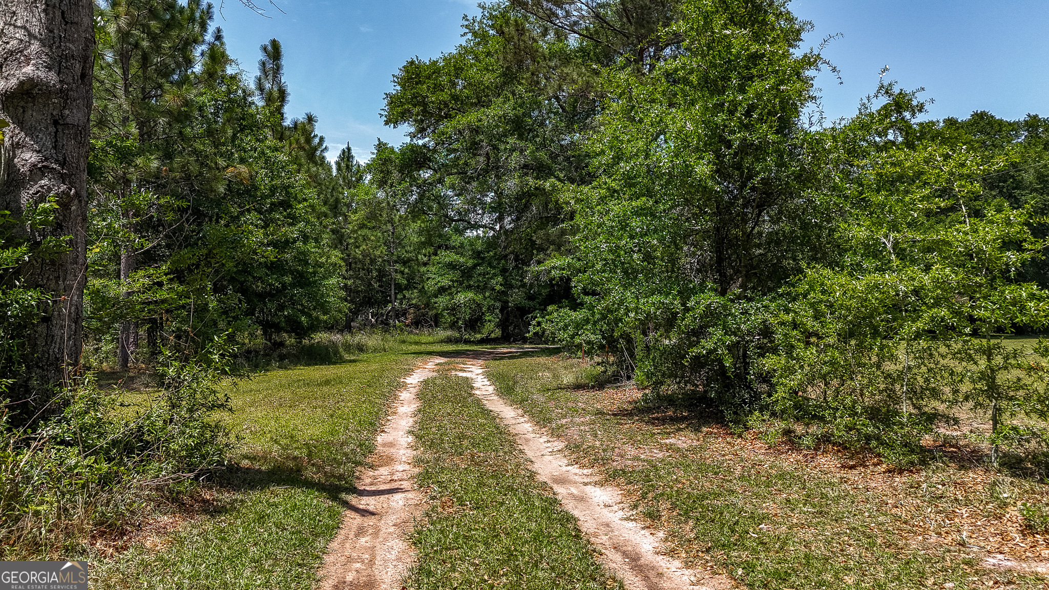 3947 Americus Highway Dawson GA 39842