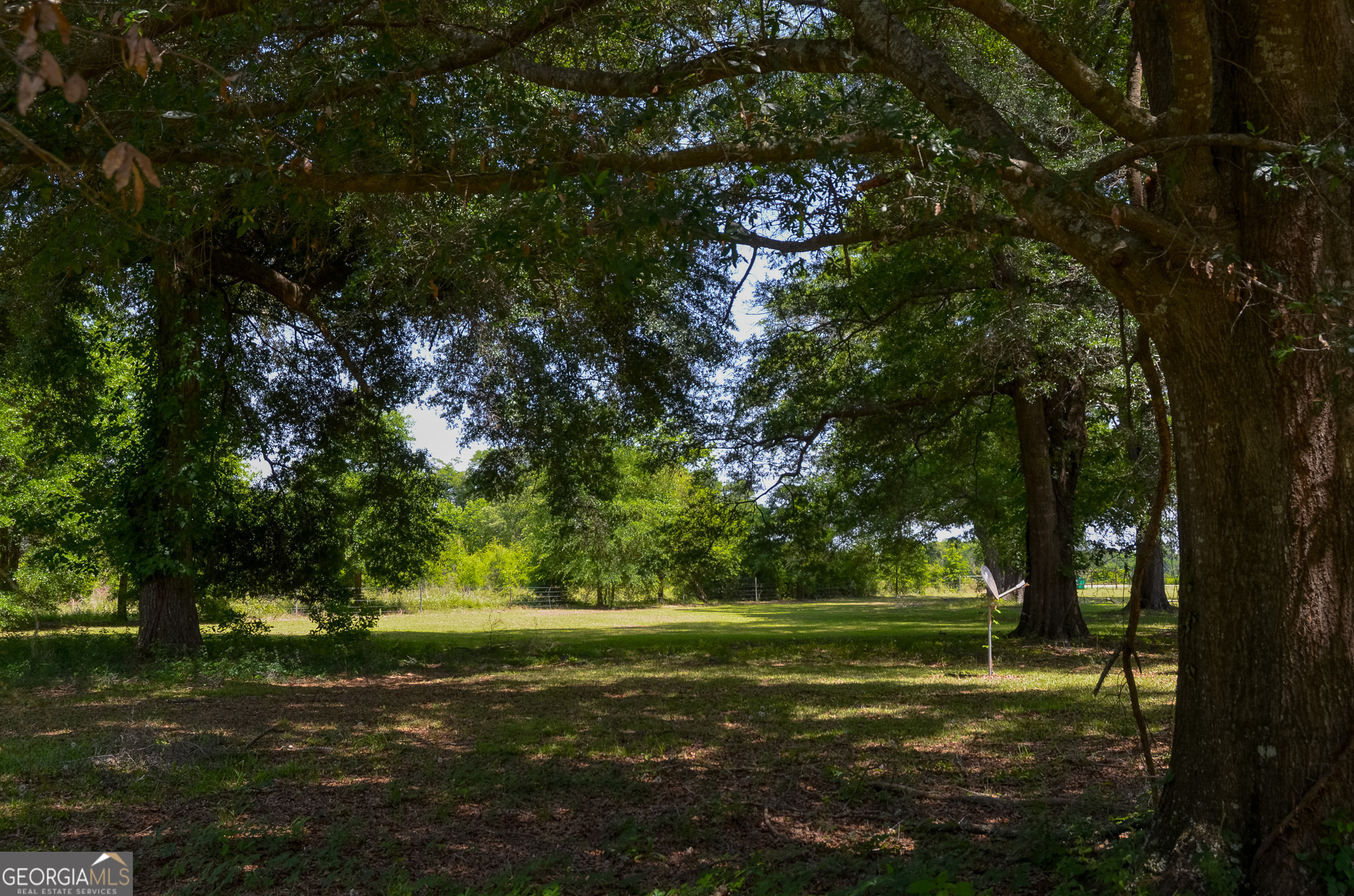 3947 Americus Highway Dawson GA 39842