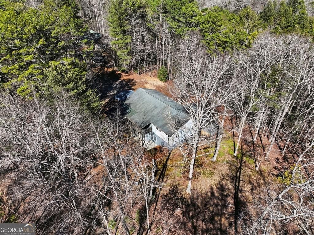 387 Ruby Lane Mineral Bluff GA 30559