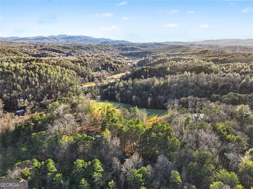387 Ruby Lane Mineral Bluff GA 30559