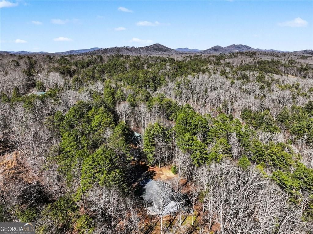 387 Ruby Lane Mineral Bluff GA 30559