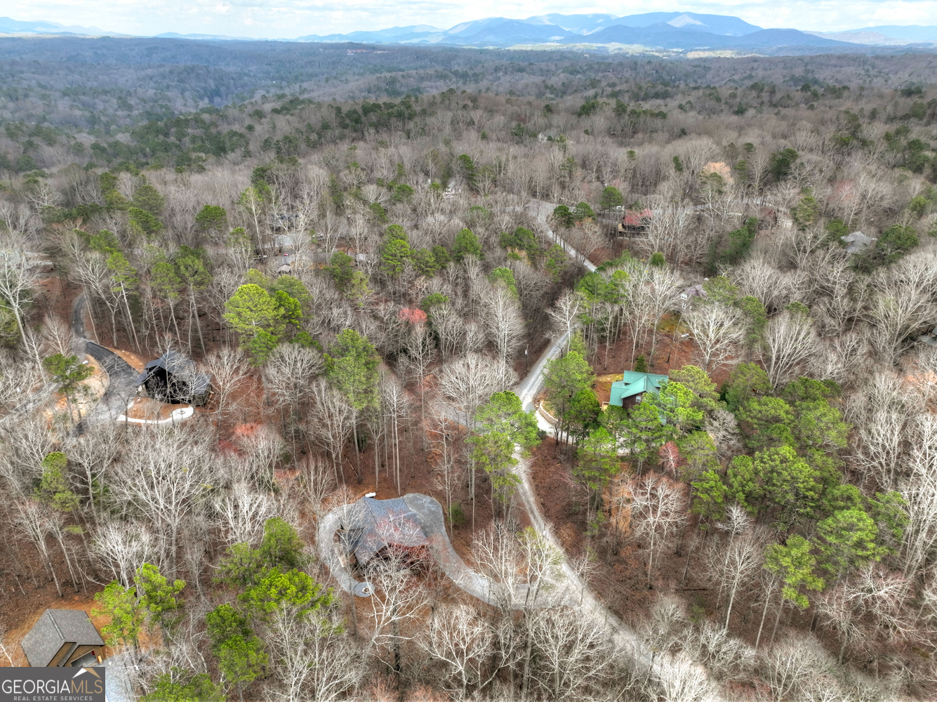 723 Parody Circle Ellijay GA 30540