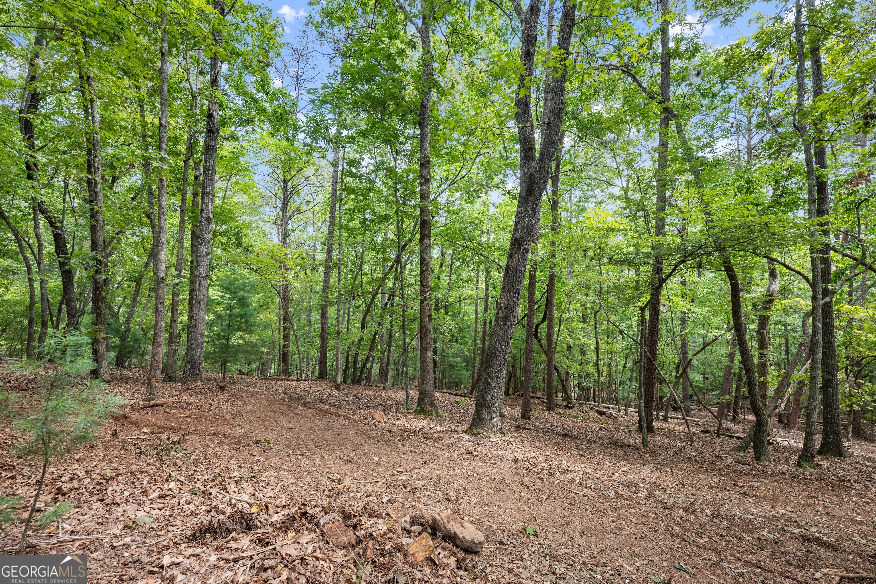 486 Laurel Circle Dahlonega GA 30533