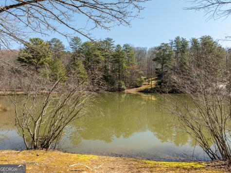138 Laurel Ridge Morganton GA 30560