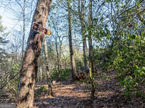 517 Ridge Road Blue Ridge GA 30513