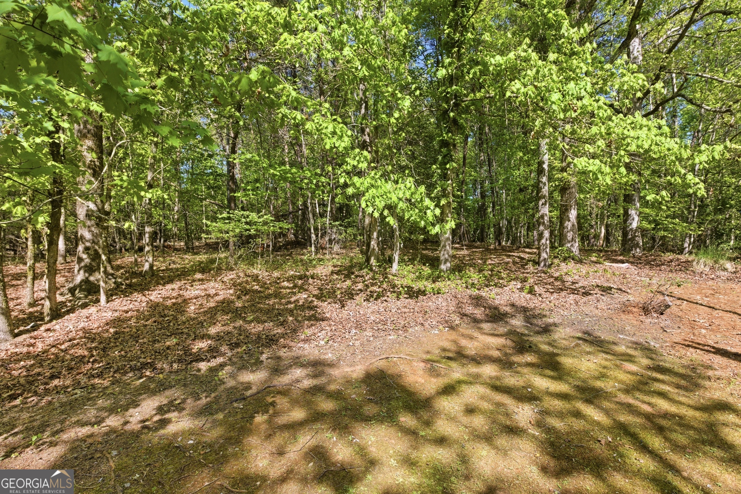 325 Blue Creek Cove Cleveland GA 30528