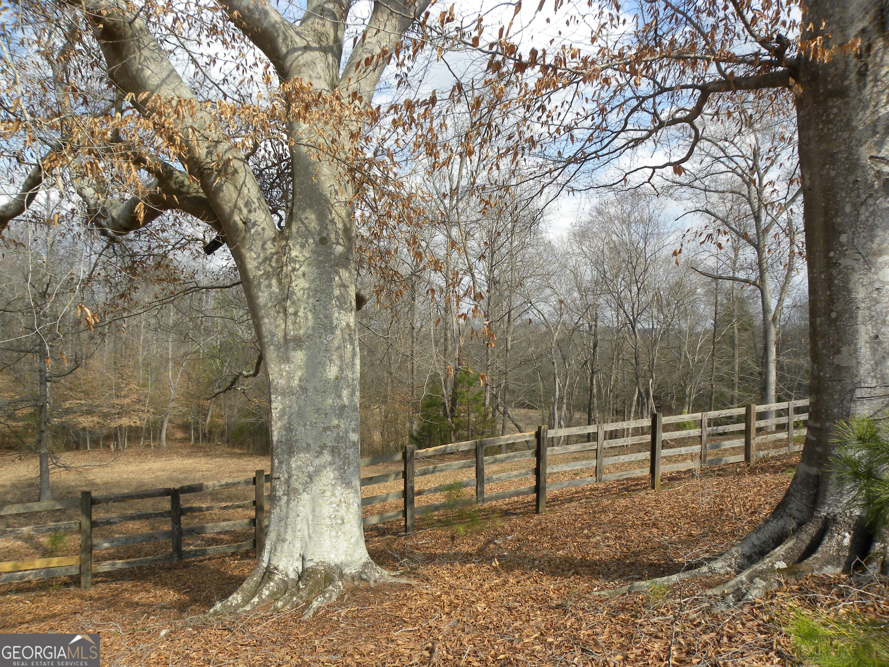 551 P. S. Road Toccoa GA 30577
