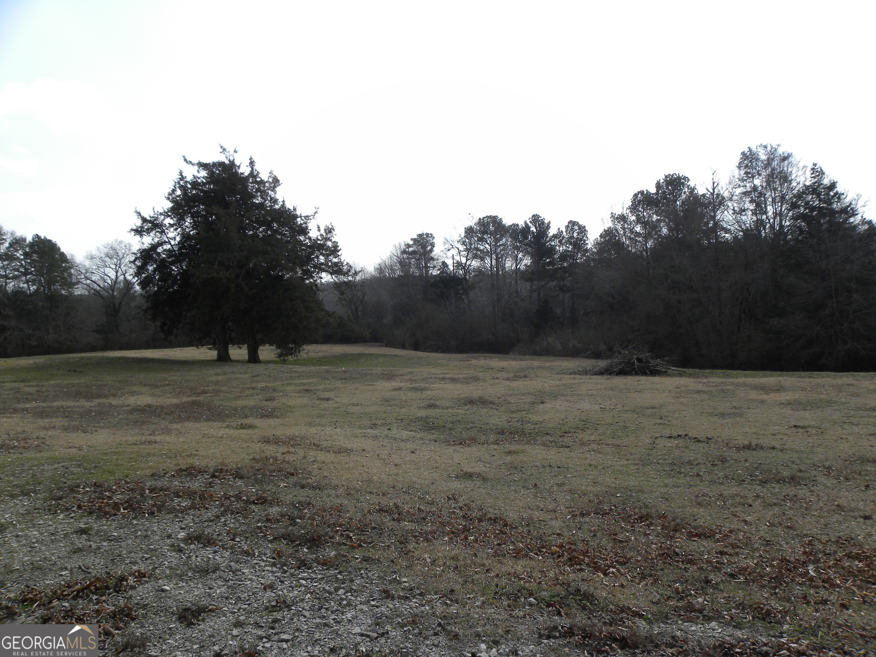 551 P. S. Road Toccoa GA 30577