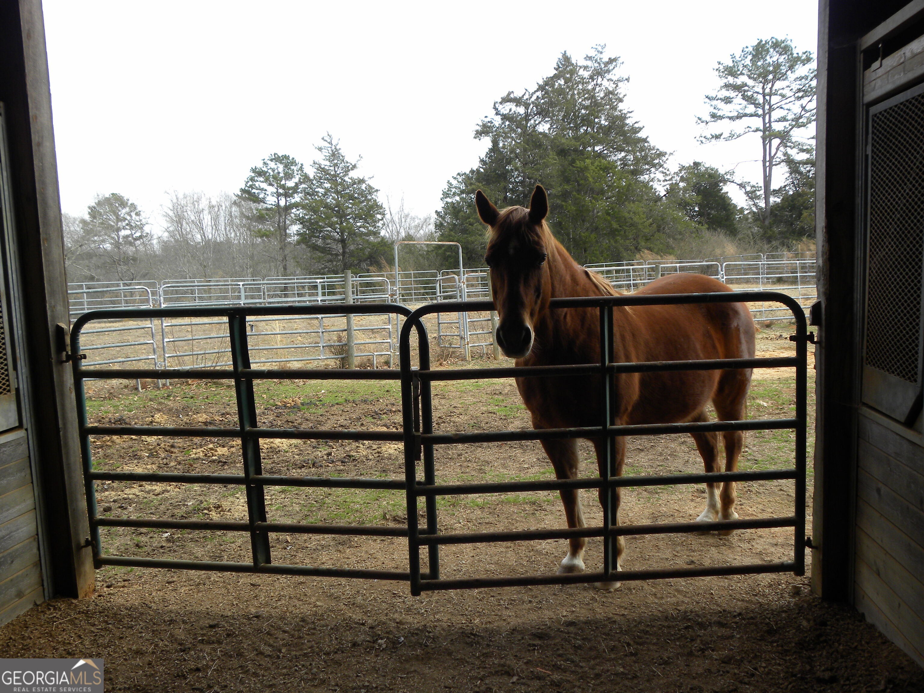 551 P. S. Road Toccoa GA 30577
