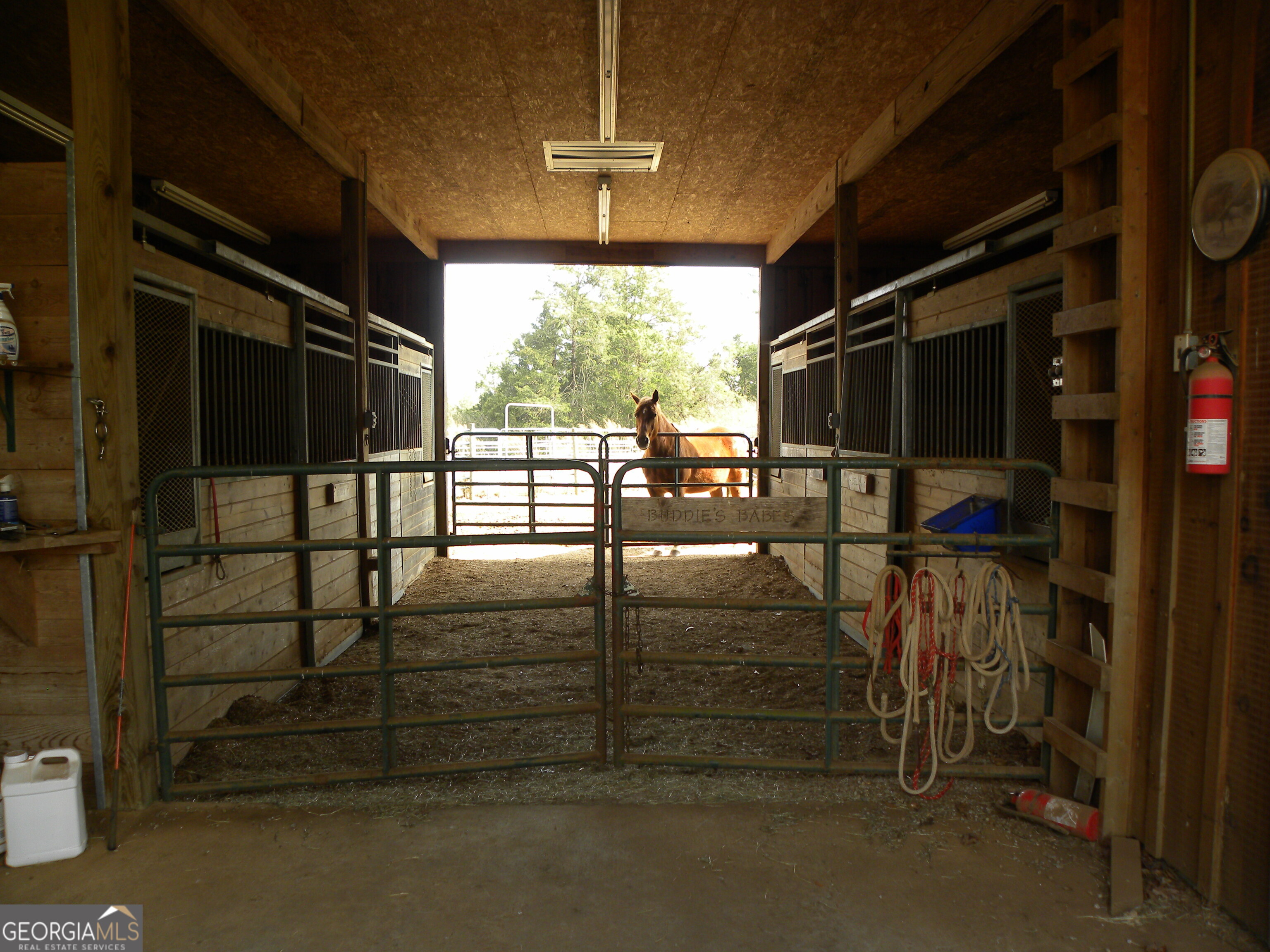 551 P. S. Road Toccoa GA 30577