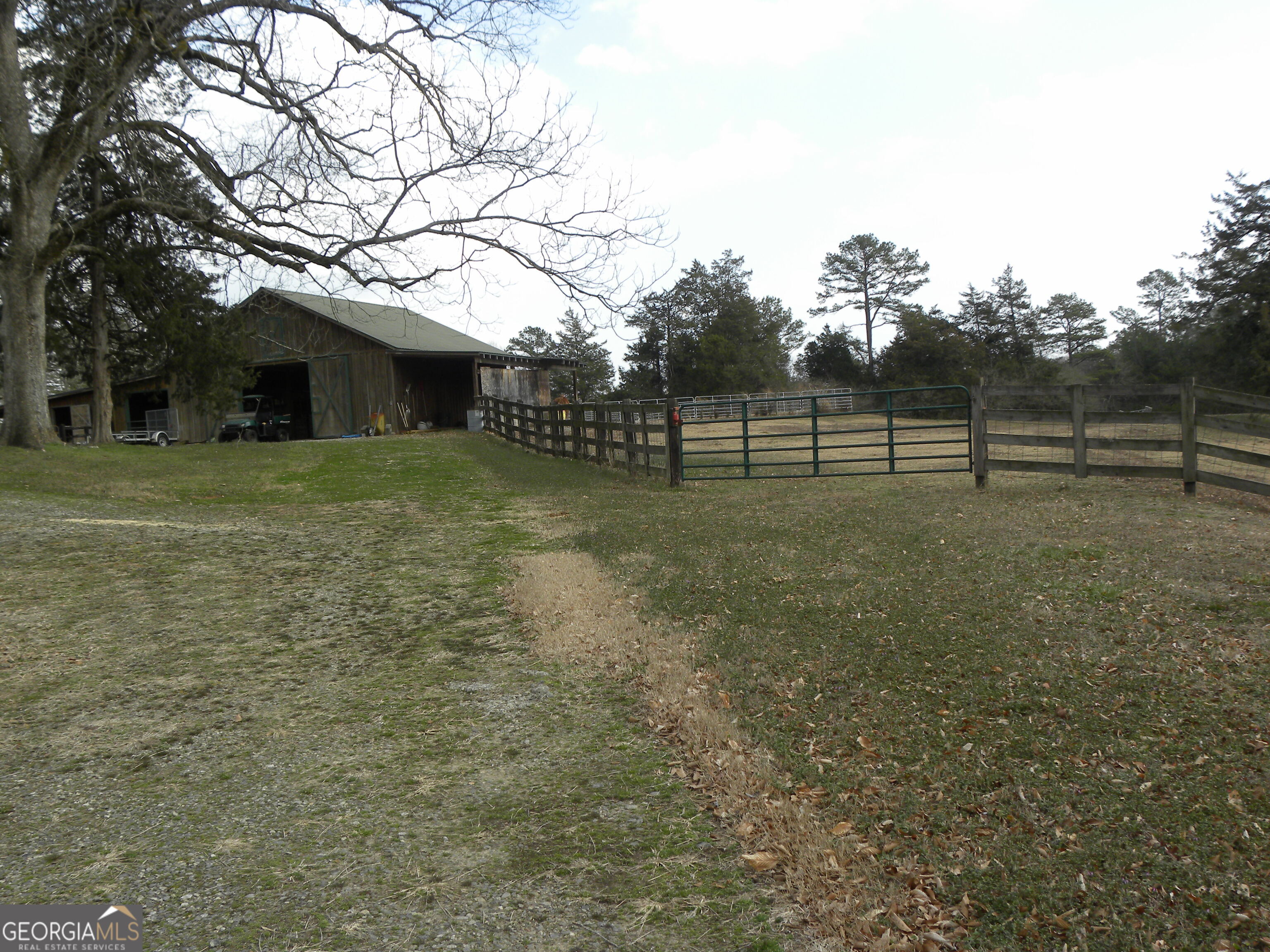 551 P. S. Road Toccoa GA 30577