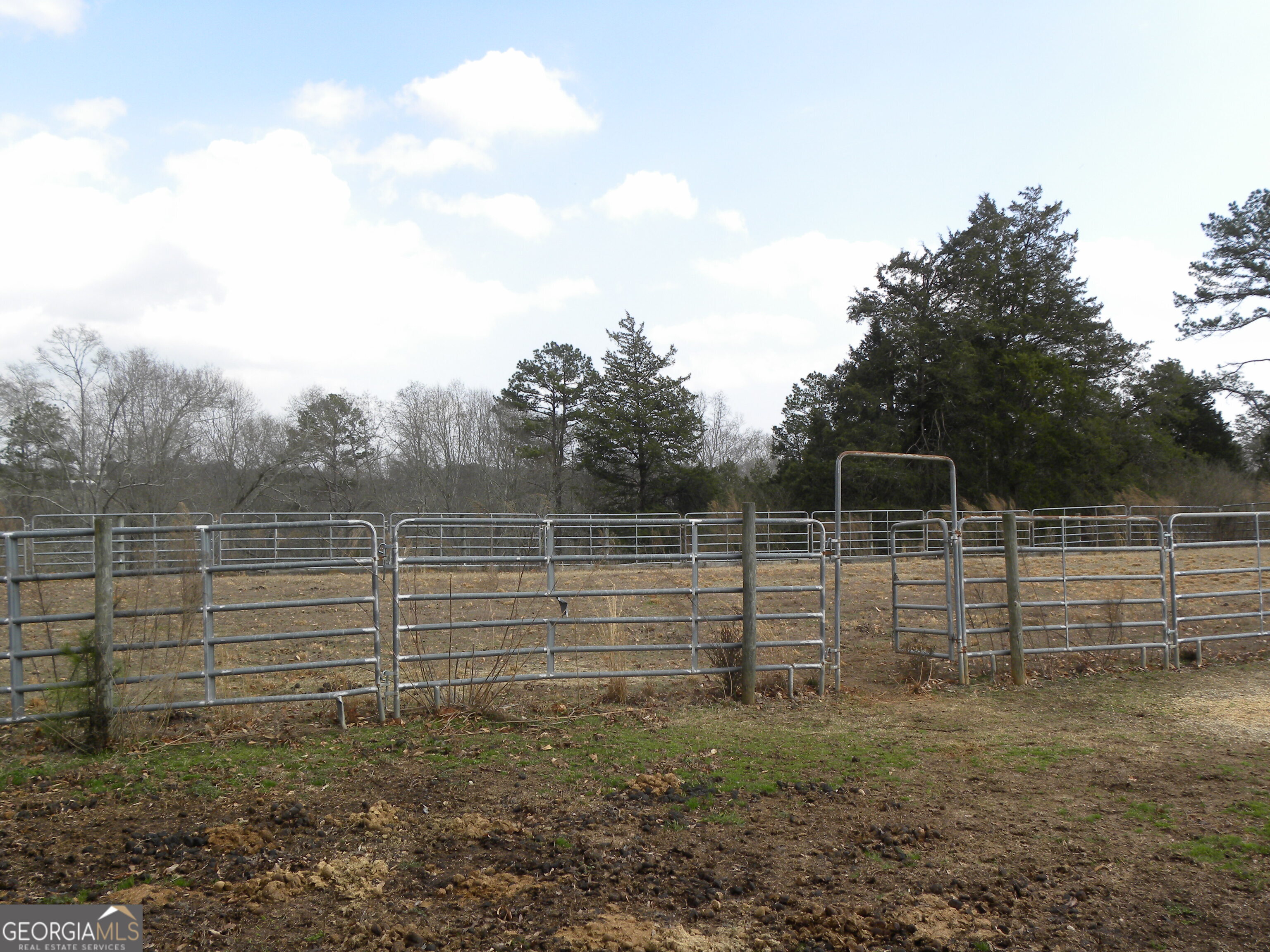 551 P. S. Road Toccoa GA 30577