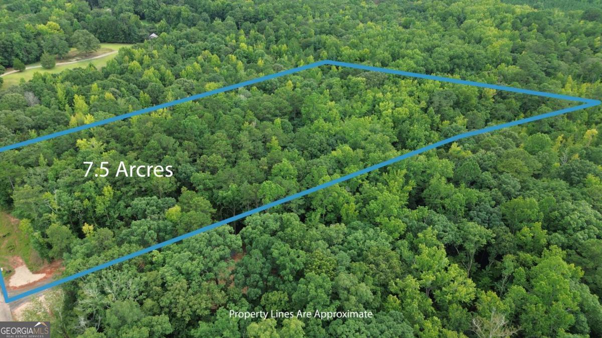 0 Roosevelt Hwy - Lot 1 Warm Springs GA 31830