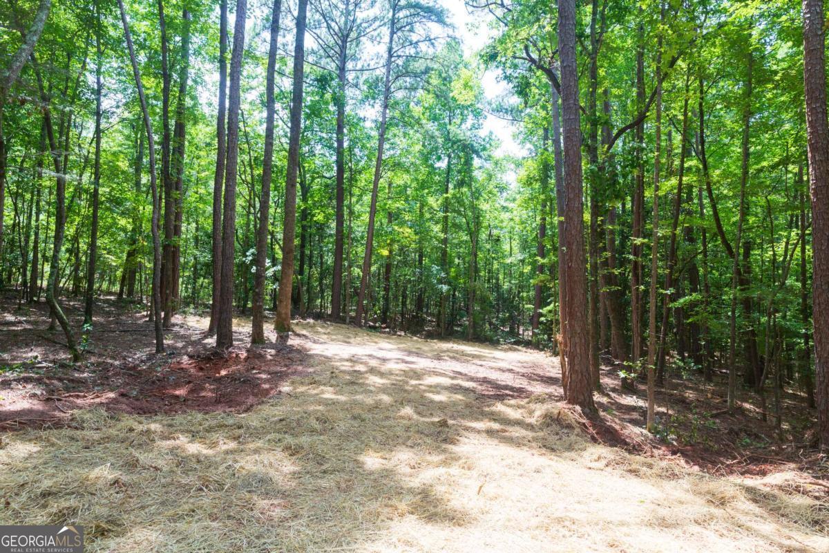 0 Roosevelt Hwy - Lot 1 Warm Springs GA 31830