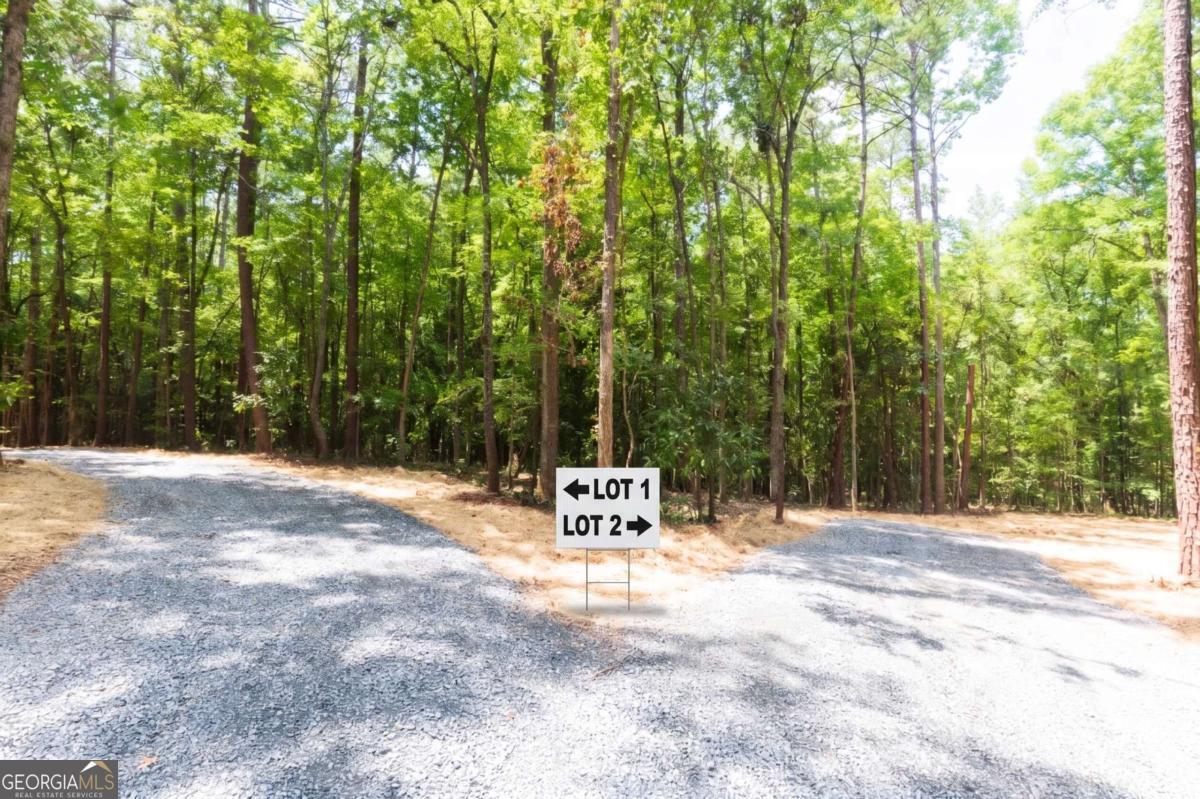 0 Roosevelt Hwy - Lot 1 Warm Springs GA 31830