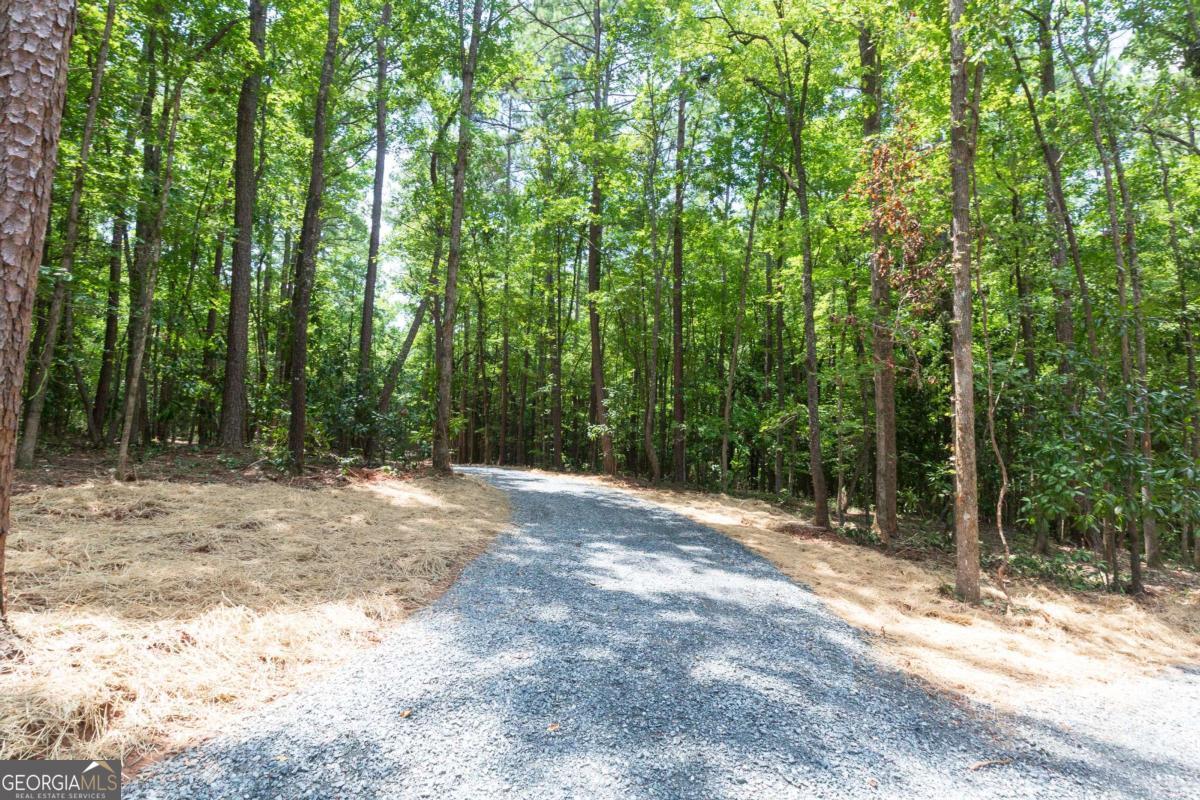 0 Roosevelt Hwy - Lot 1 Warm Springs GA 31830