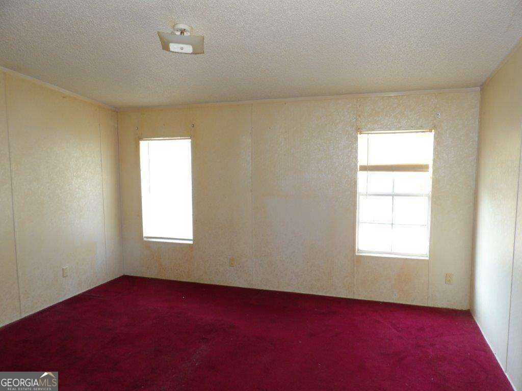 111 Sunnyside Drive Box Springs GA 31801