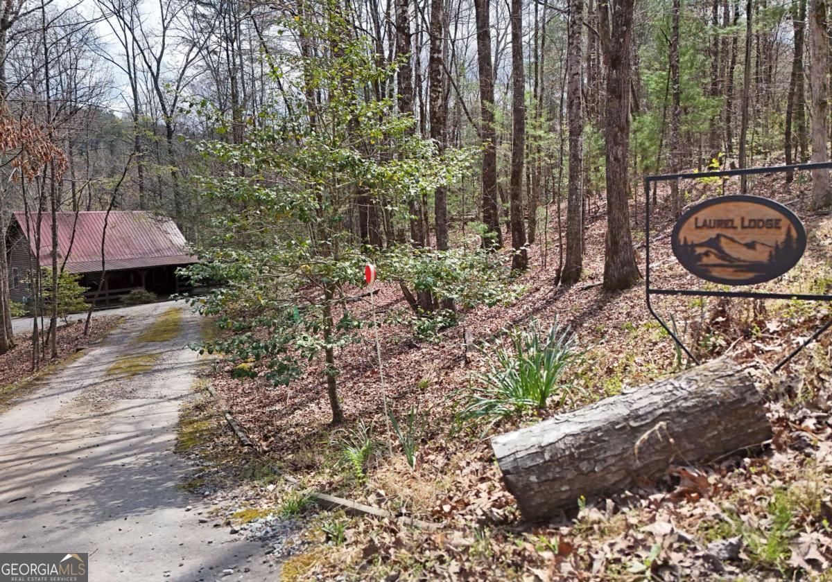 545 Laurel Circle Blue Ridge GA 30513