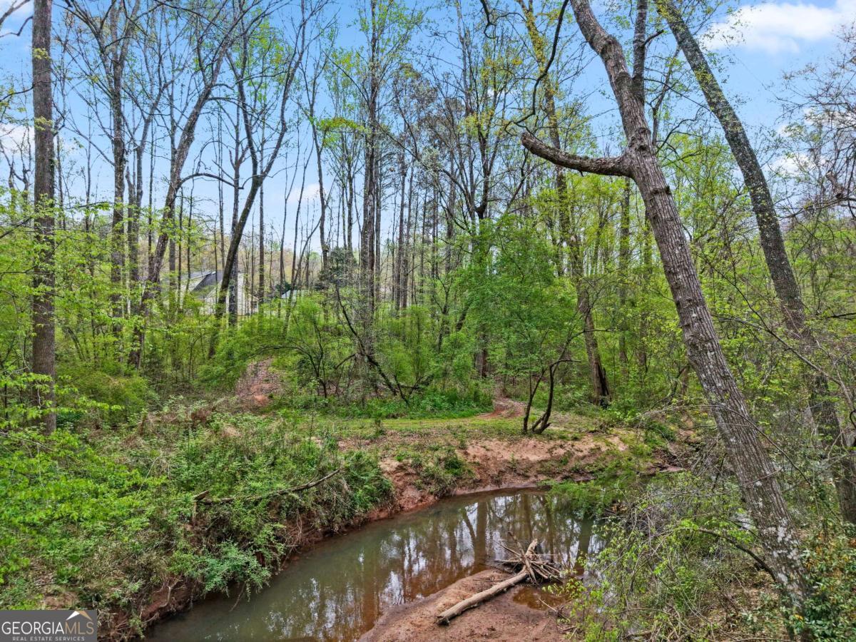 135 Creekview Drive Newnan GA 30263