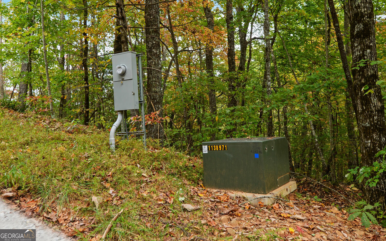 333 Favor Lane Rabun Gap GA 30568