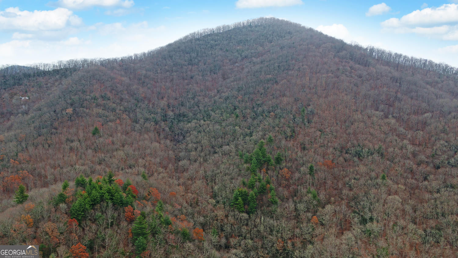 333 Favor Lane Rabun Gap GA 30568