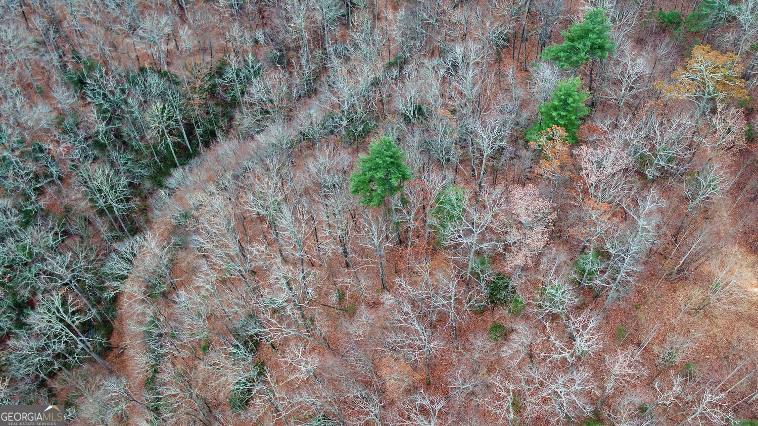 333 Favor Lane Rabun Gap GA 30568