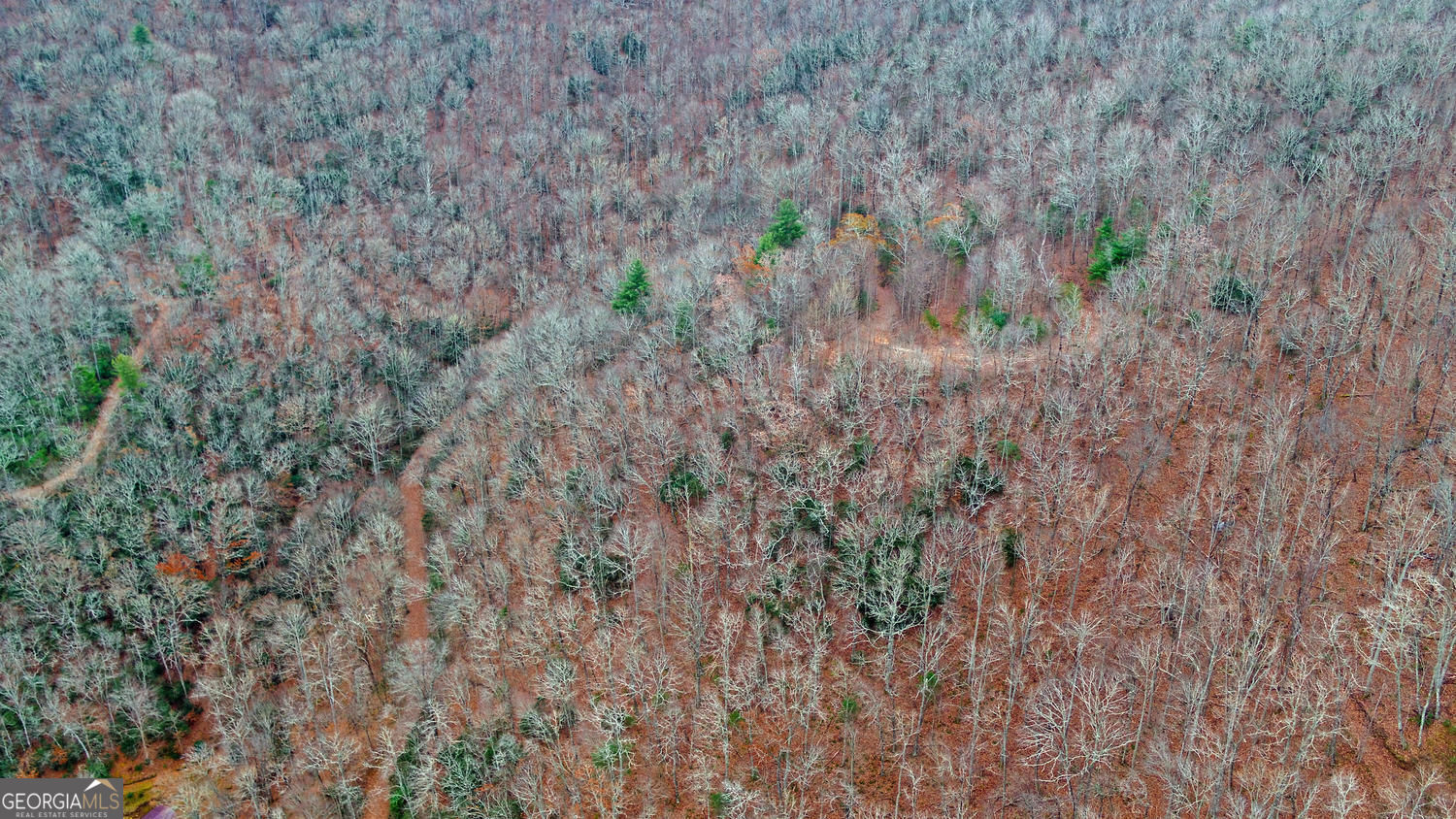 333 Favor Lane Rabun Gap GA 30568