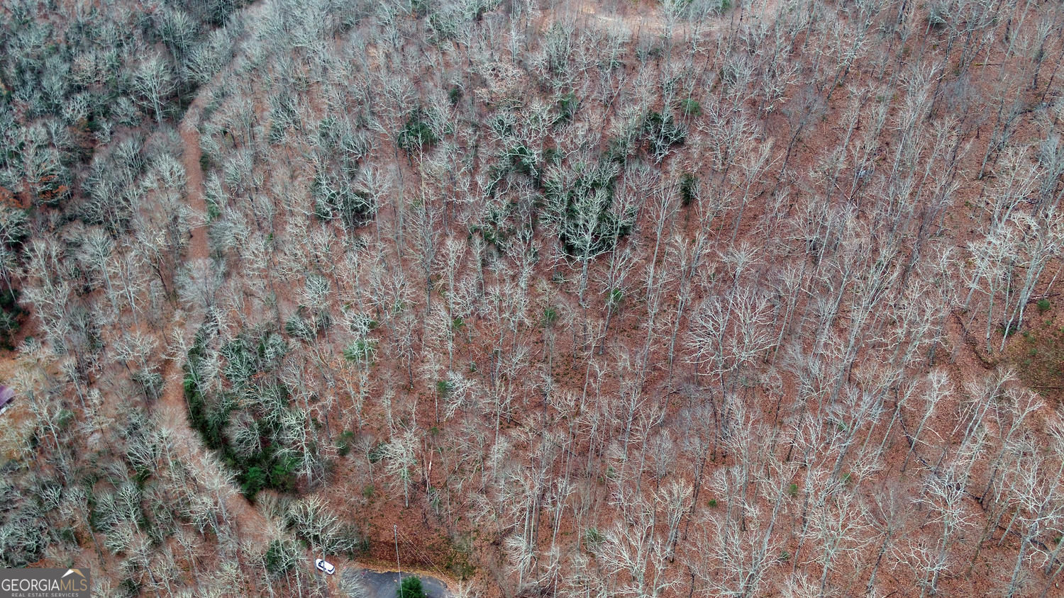 333 Favor Lane Rabun Gap GA 30568