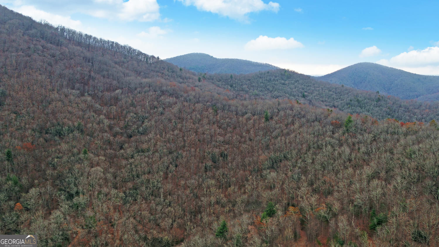 333 Favor Lane Rabun Gap GA 30568