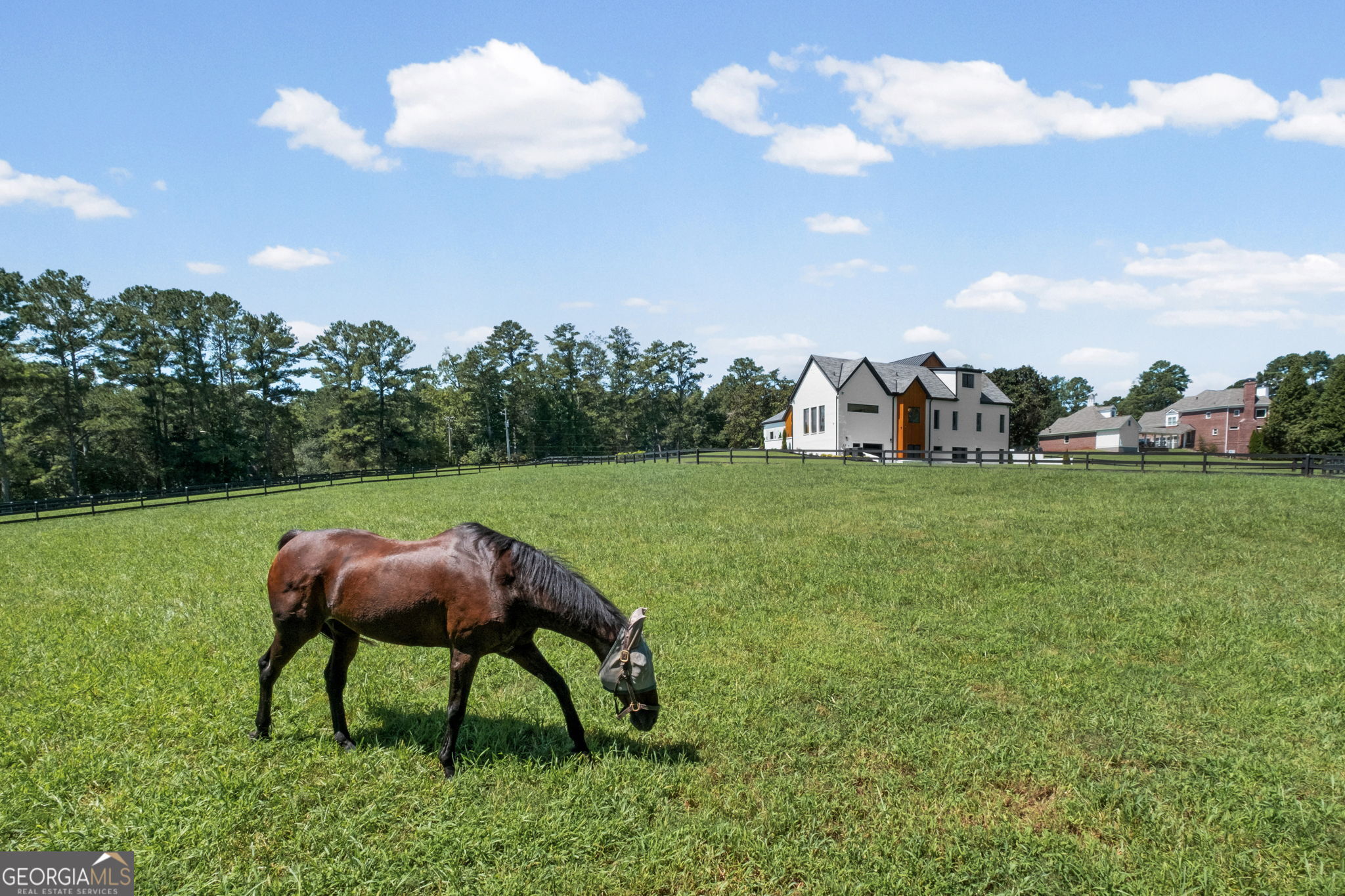 14735 Wood Road Milton GA 30004