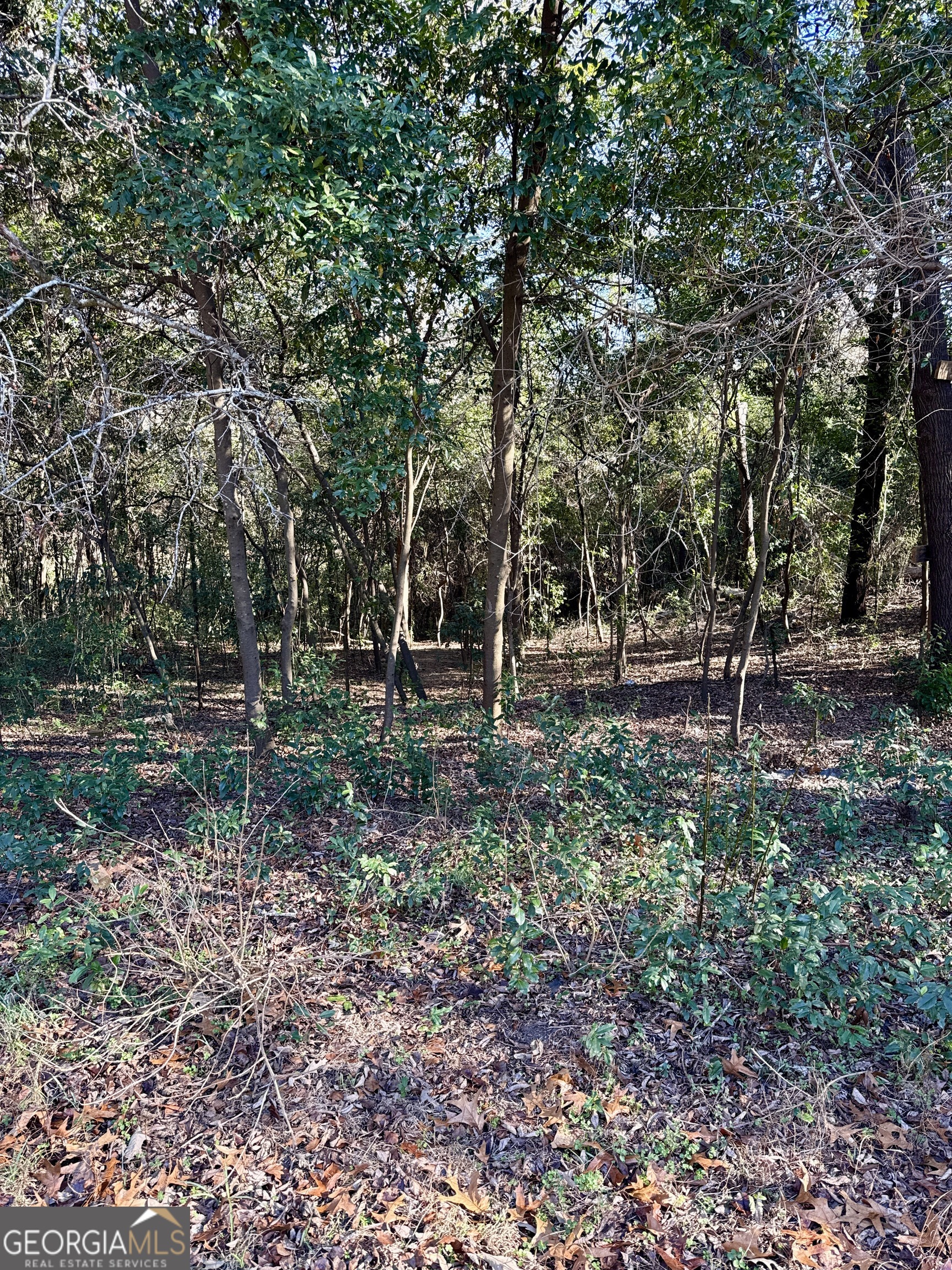 104 Sandy Run Drive Warner Robins GA 31088