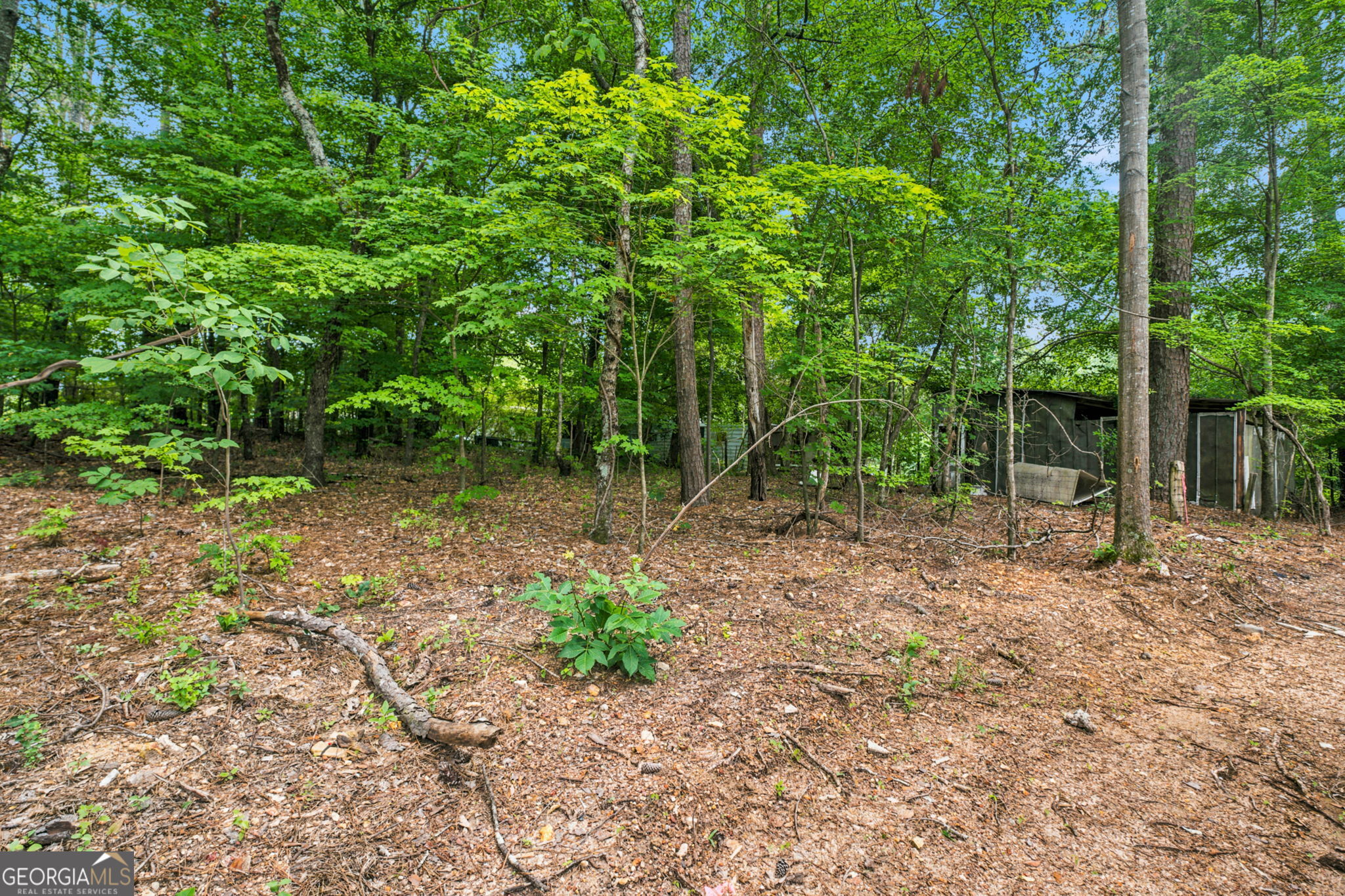 25 Lewis Barrett Boulevard Rome GA 30161