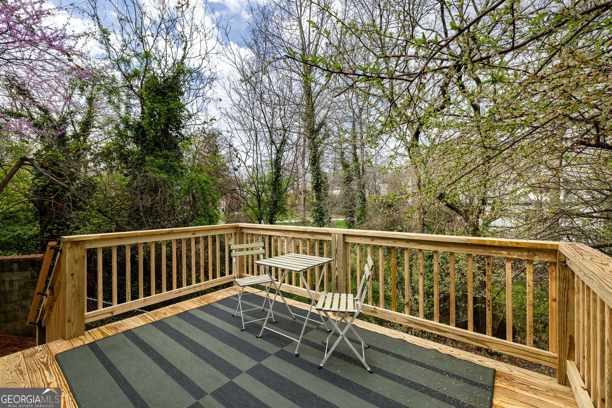 1523 Harvest Lane SE Atlanta GA 30317