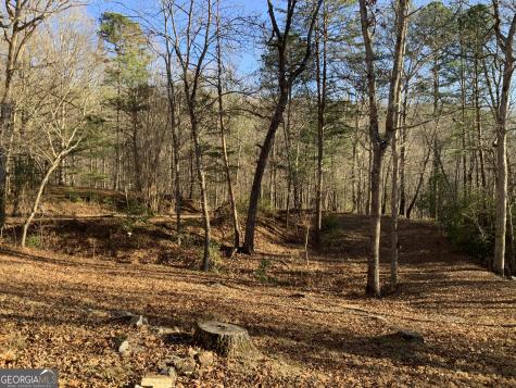 54 Four Seasons Landing Blairsville GA 30512