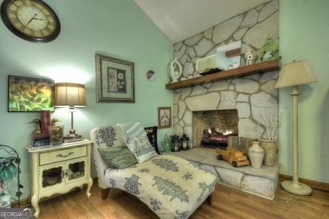 1359 Salem Road Mineral Bluff GA 30559