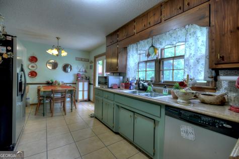 1359 Salem Road Mineral Bluff GA 30559
