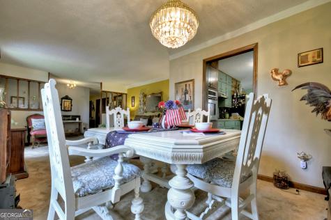 1359 Salem Road Mineral Bluff GA 30559