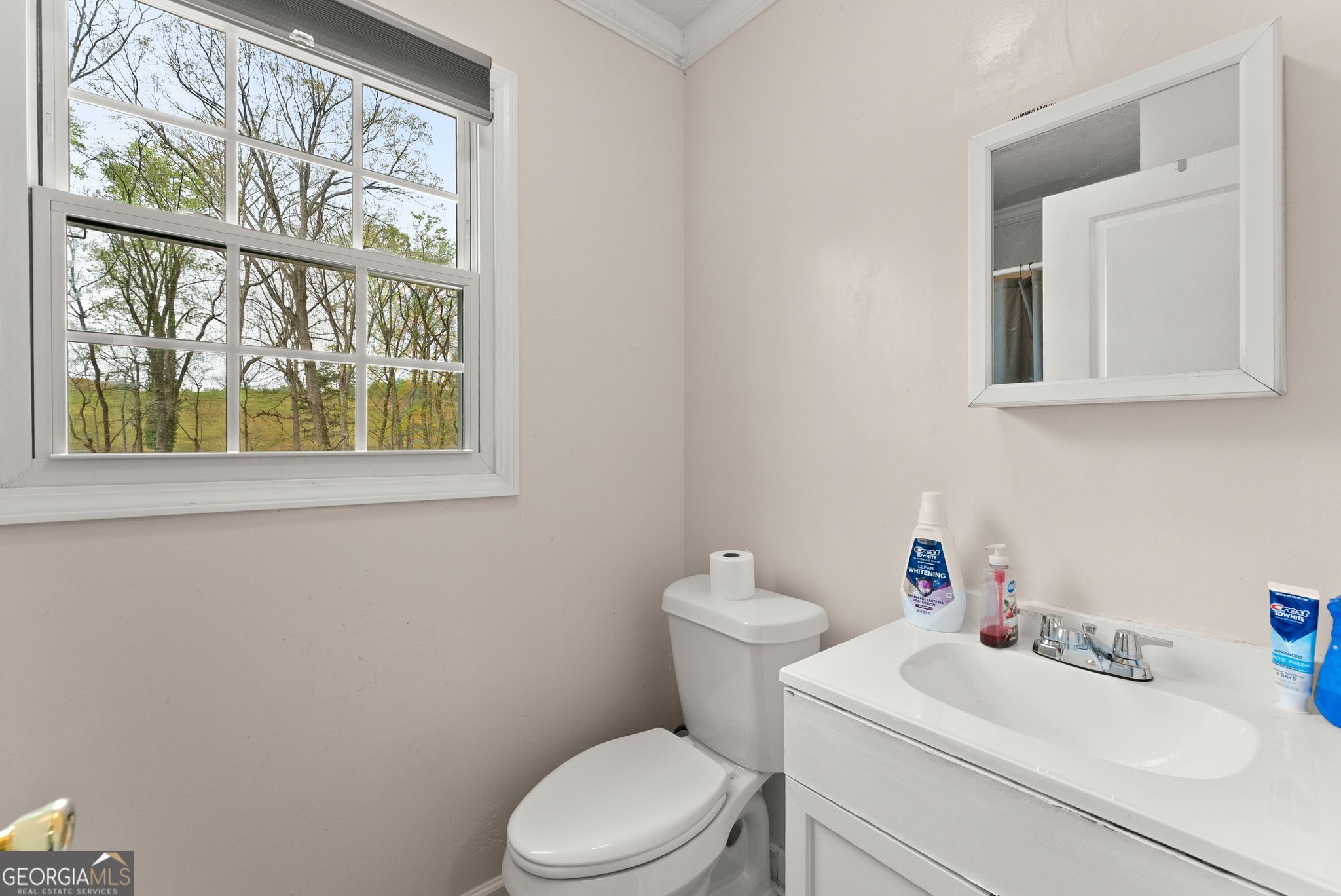 4548 Holiday Heights Drive Oakwood GA 30566
