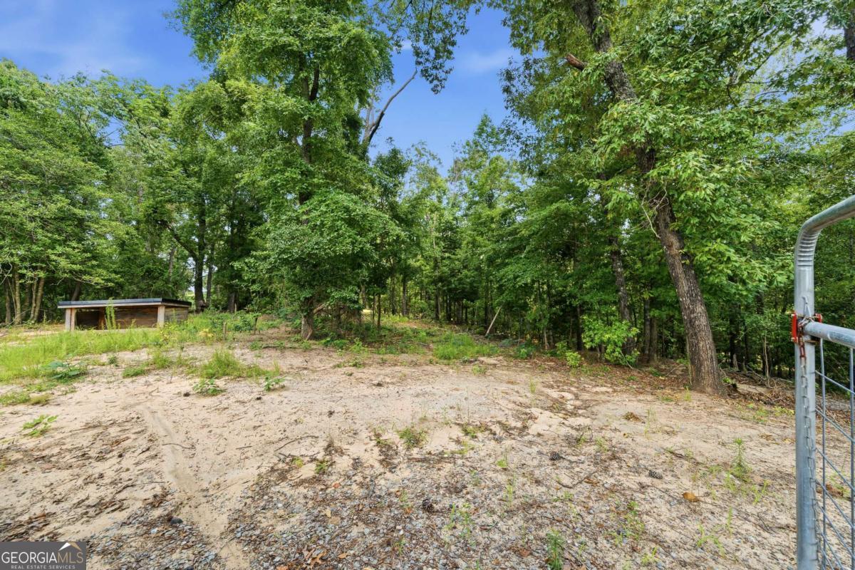 390 Dedrick Road Mcintyre GA 31054