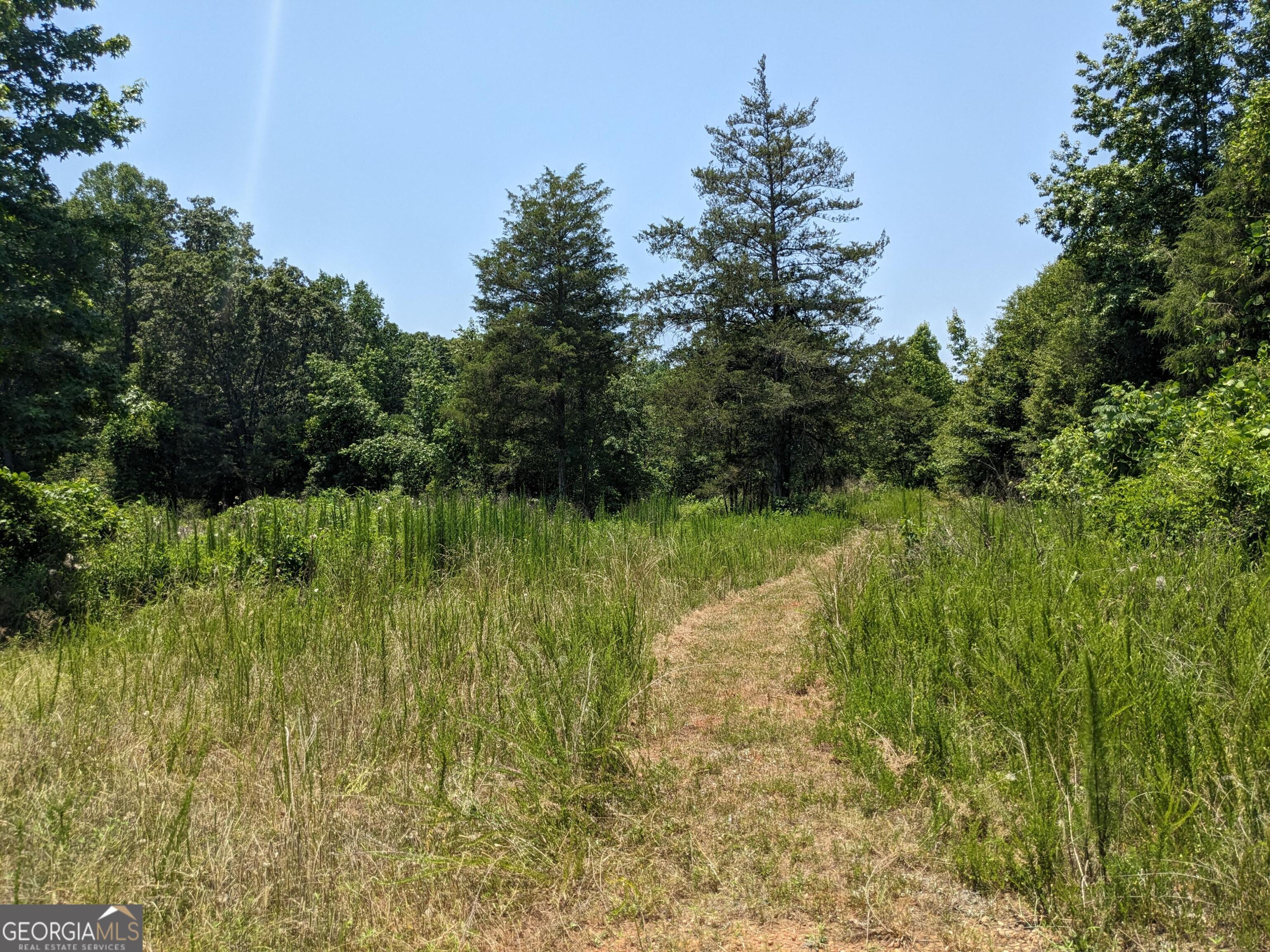 1949 Highway 29 N Danielsville GA 30633