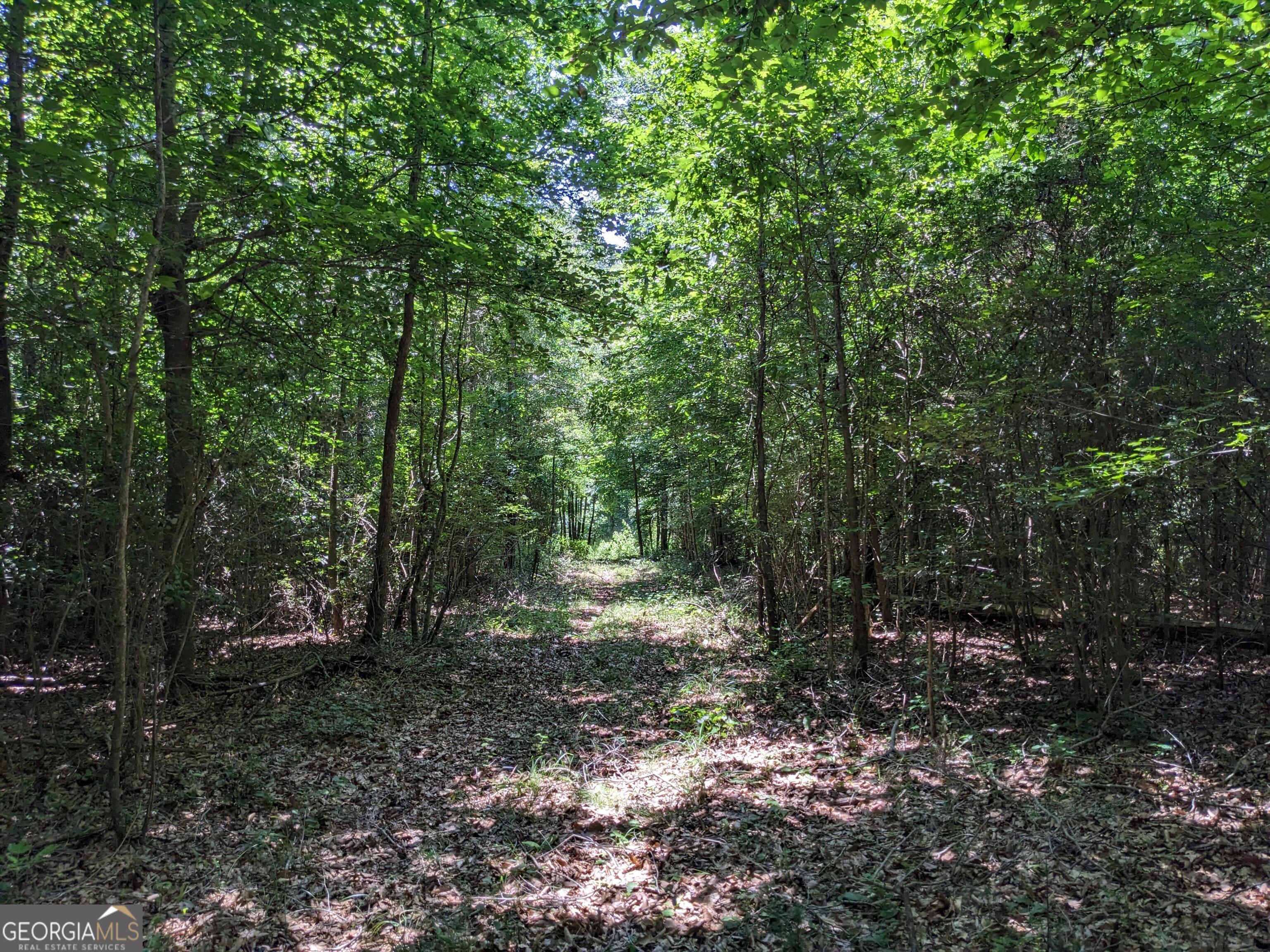 1949 Highway 29 N Danielsville GA 30633